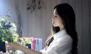 上门女婿叶辰完整版